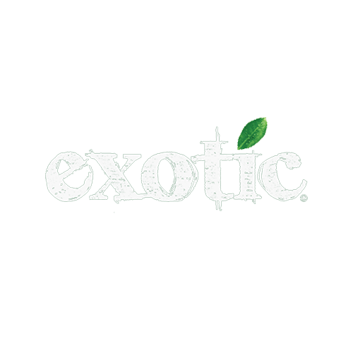 Başlıksız-3_0012_Başlıksız-1