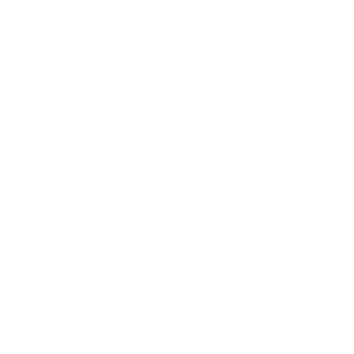 Başlıksız-3_0019_northface