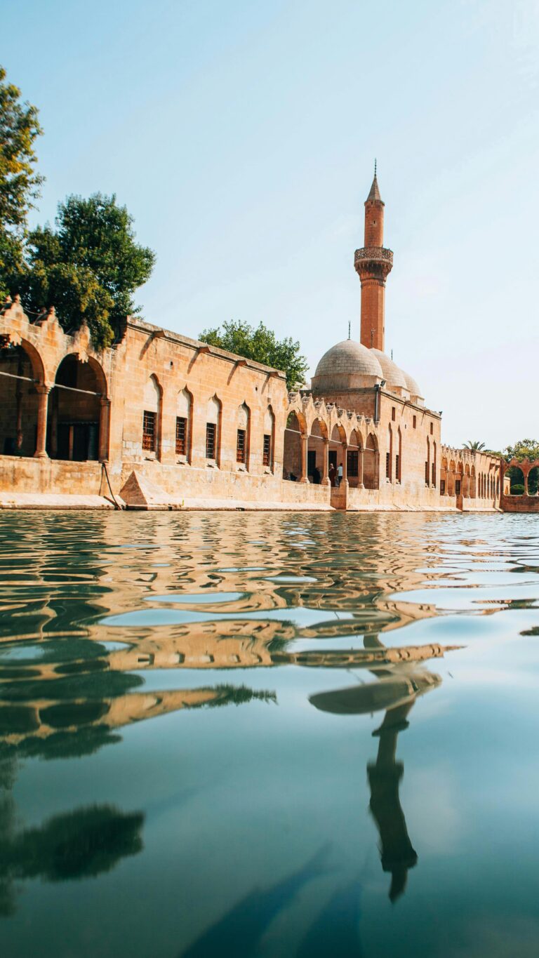 Instagram post from ugurarden. This post is in position 10.