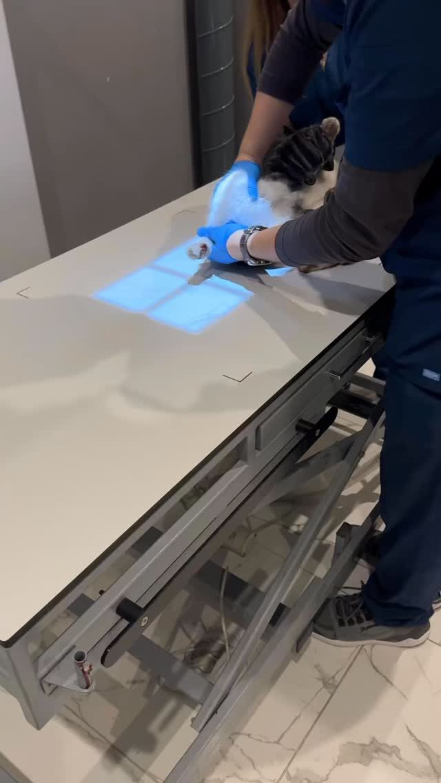 Instagram post from ugurarden. This post is in position 1.